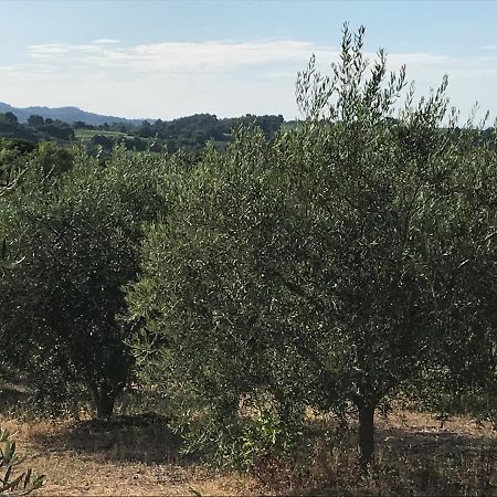 Gite Au Coeur Du Pays Cathare Verzeille Luaran gambar