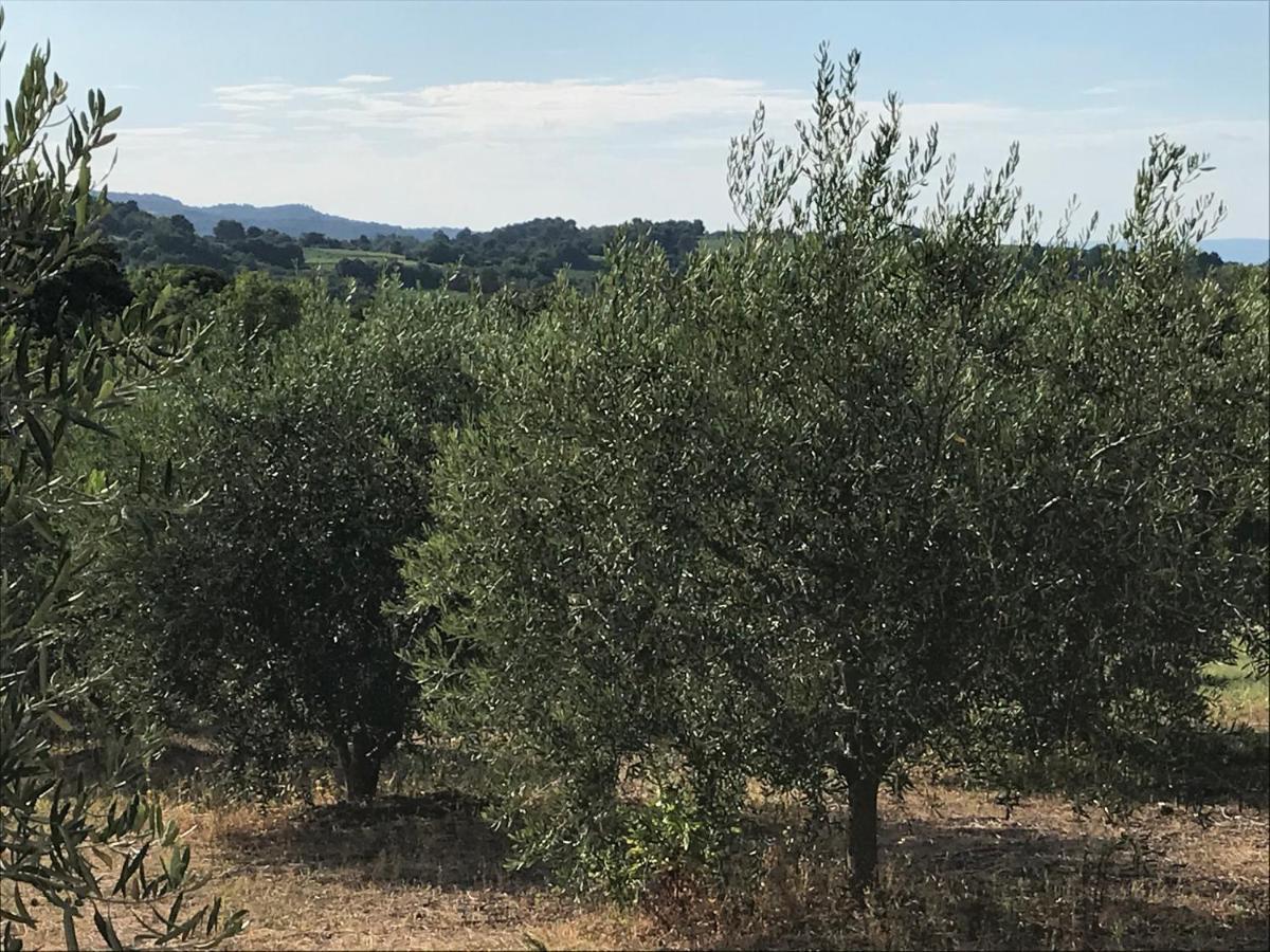 Gite Au Coeur Du Pays Cathare Verzeille Luaran gambar