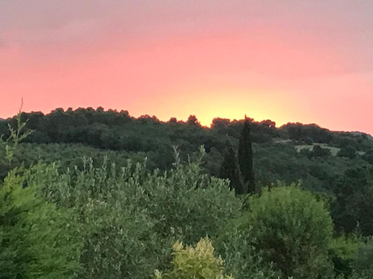 Gite Au Coeur Du Pays Cathare Verzeille Luaran gambar
